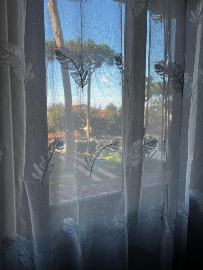 Villa Gabry E Villa Fiorita กาไมโยเร ภายนอก รูปภาพ